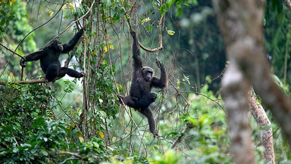 Exploring Nigeria'S Hidden Gems: Top Destinations For 2024 6 Hidden Gems, Top Hidden Destinations