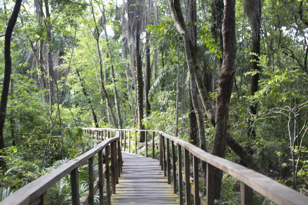 Ökotourismus in Lagos: Best Practices und Zukunftsaussichten 1 ÖKOTOURISMUS, ÖKOTOURISMUS IN LAGOS, Umweltfreundliche Hotels