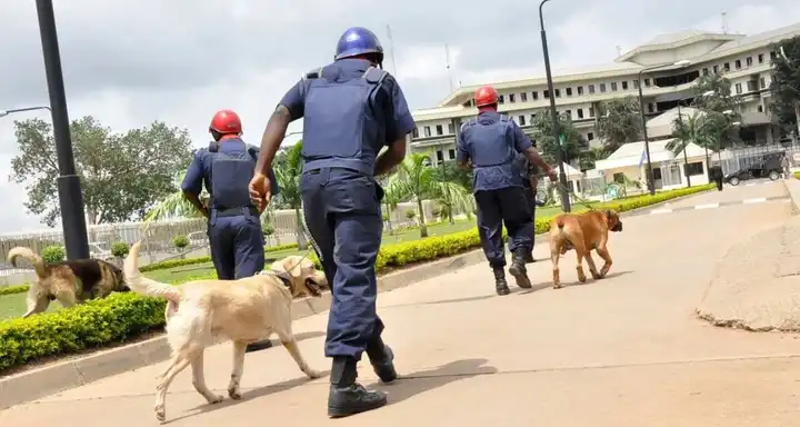 Die Auswirkungen der Sicherheit auf den Tourismus in Nigeria, 2024 3 SICHERHEIT, TOURISMUS IN NIGERIA