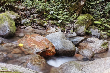 Wellness Tourism: Opportunities For Growth In Nigeria 2 Hot Springs and Healing Minerals,Wellness Tourism, The wheatbaker Hotel, The Wheatbaker Lagos, Lagos