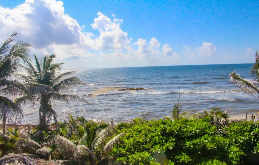 Nigeria’s Coastal Tourism: Developing Nigeria’s Coastal and Marine Tourism to Its Best in 2025 5 Irin-ajo ti eti okun, Irin-ajo Omi ati Okun, Irin-ajo Ilẹ Ekun ti Nigeria, Akara Alkama, Hotẹẹli Wheatbaker, Lagos